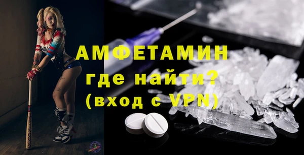 индика Волоколамск