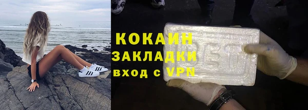 индика Волоколамск