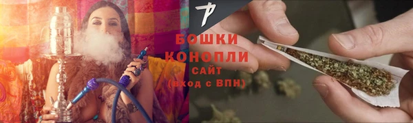 индика Волоколамск