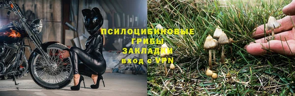 индика Волоколамск