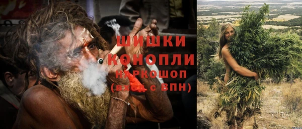 индика Волоколамск
