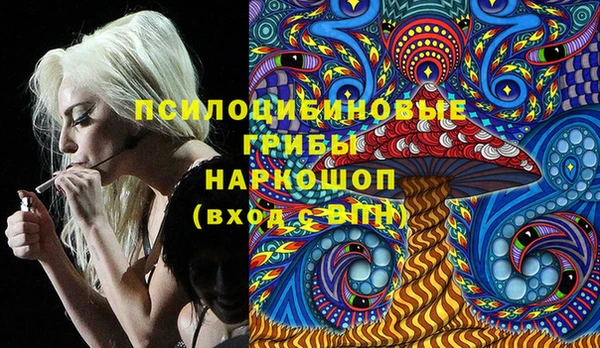 индика Волоколамск