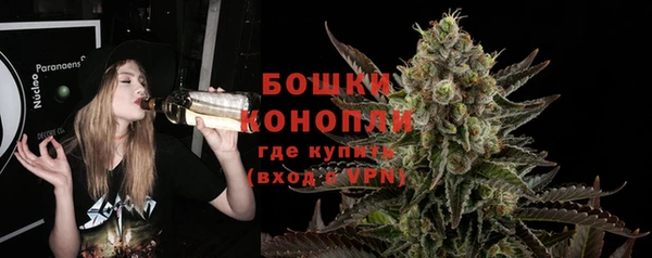 индика Волоколамск